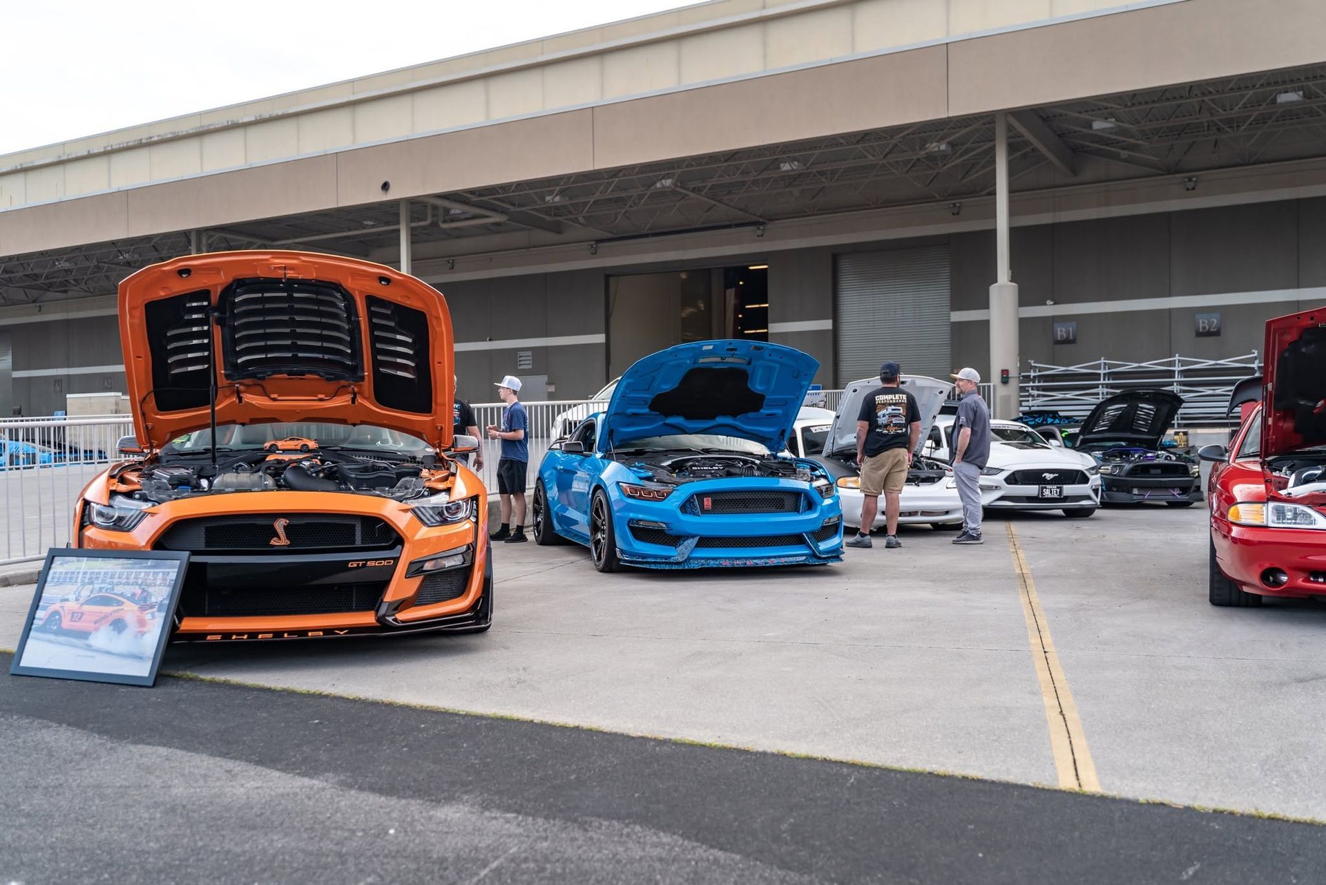 Classic cars with open hoods on display at a car show, including orange, blue, and red vehicles.