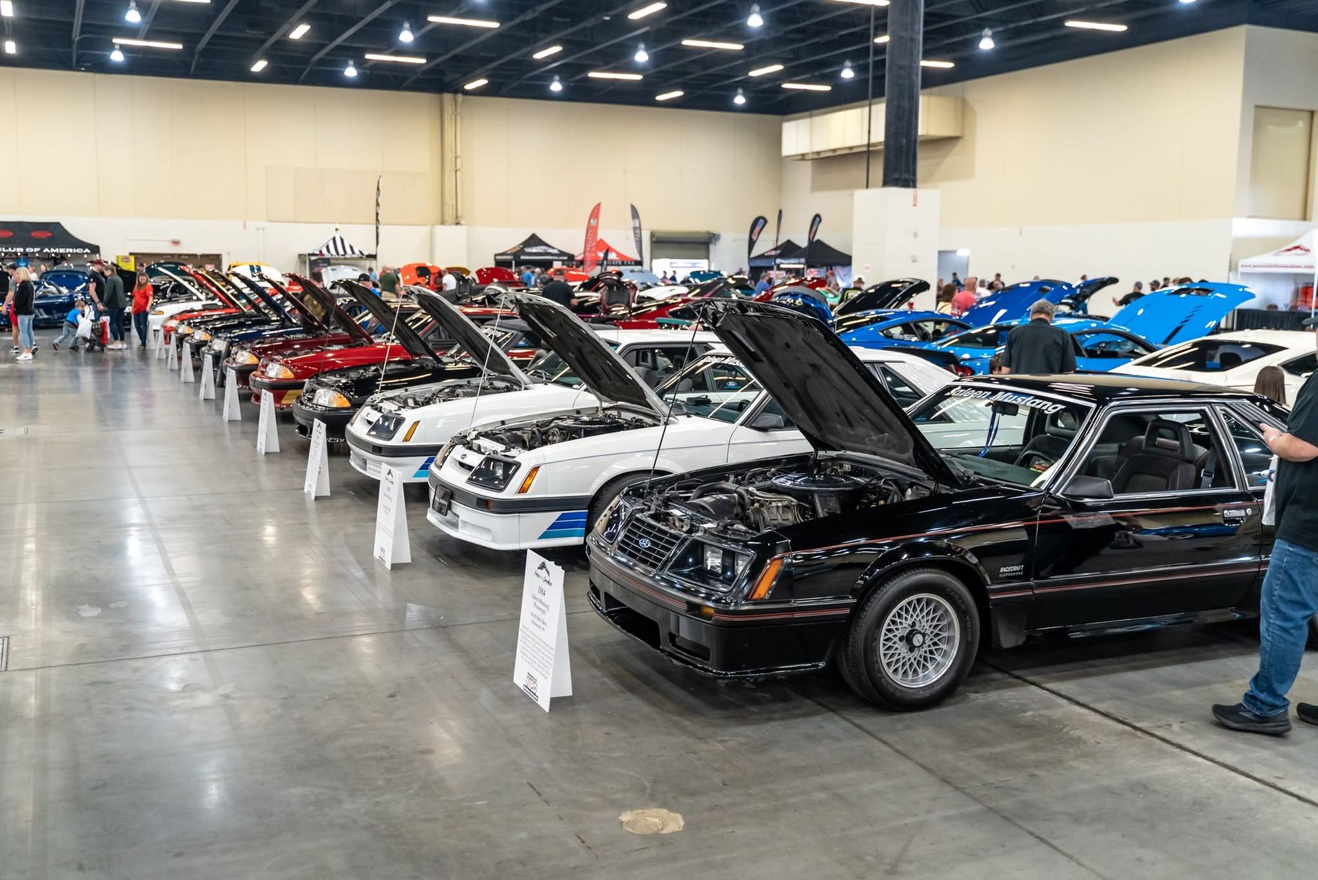 Classic cars displayed in a showroom, many with open hoods and a black car in the foreground