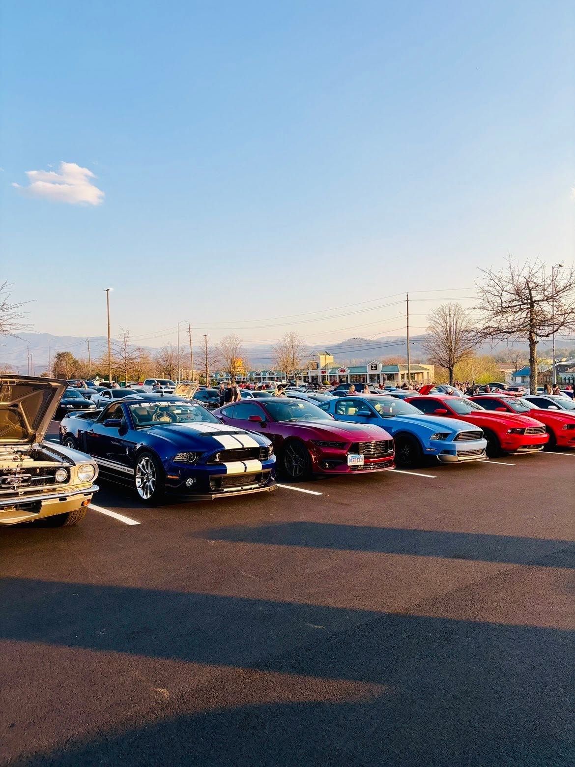 Row of colorful sports cars parked outdoors at sunset, including blue, purple, and red cars