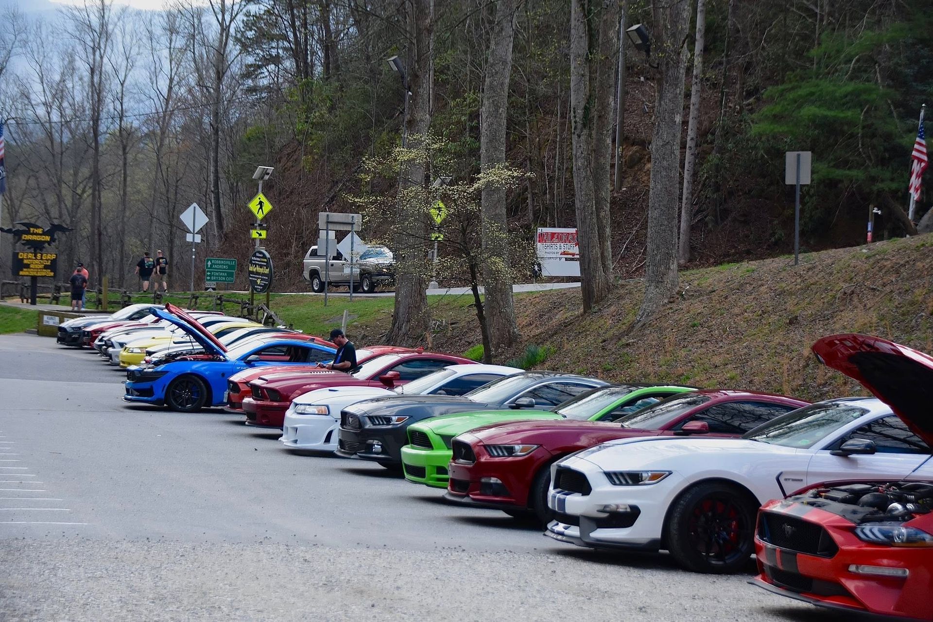 Line of colorful sports cars parked along a roadside in a wooded area