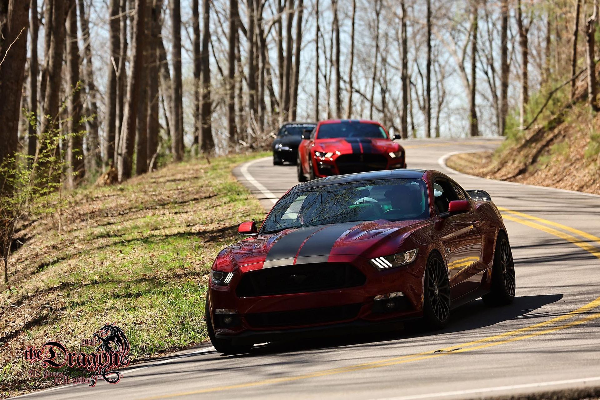 Two red sports cars driving on a winding forest road