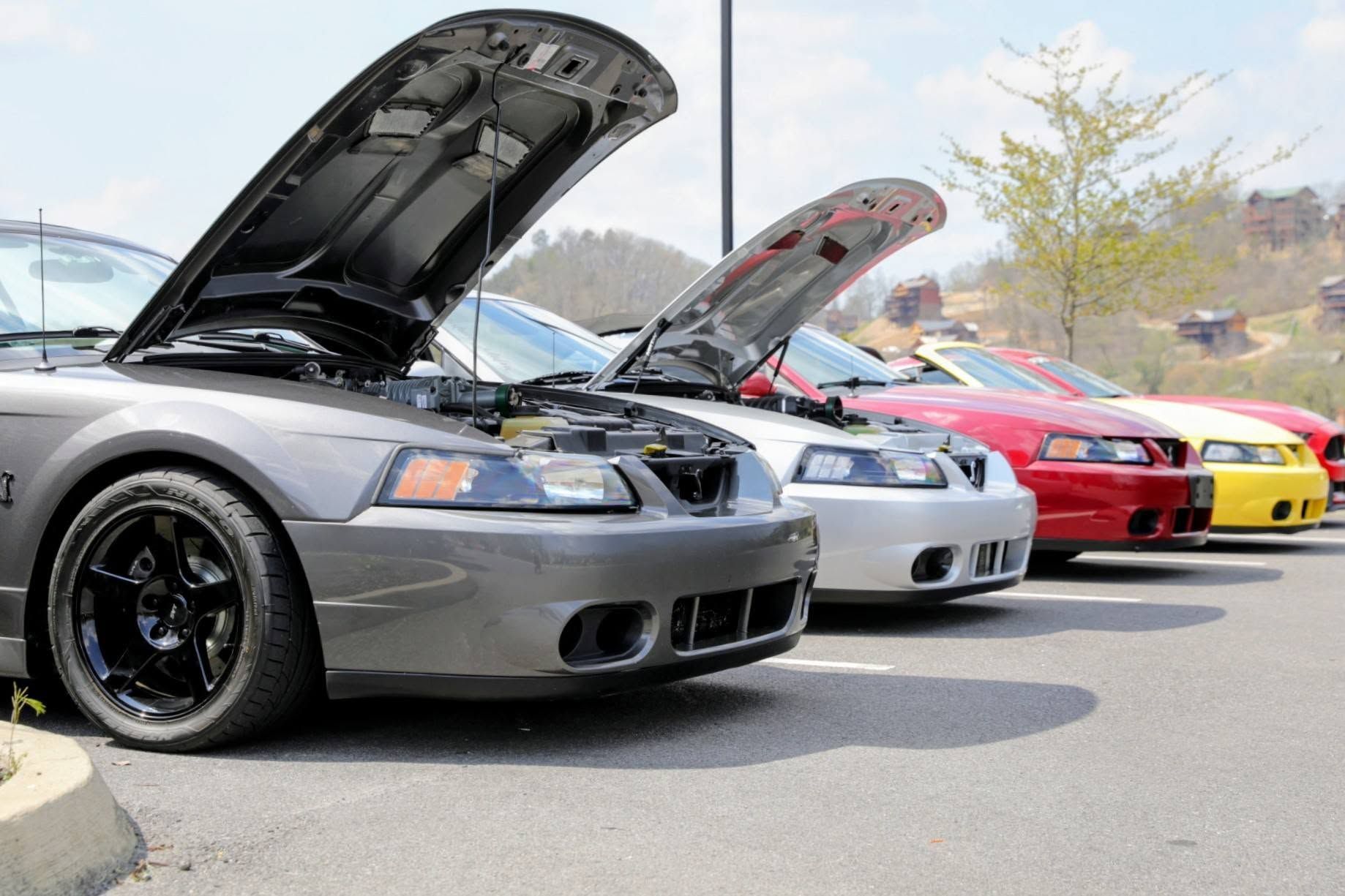 Row of parked sports cars with open hoods, including gray, silver, red, and yellow cars in a lot
