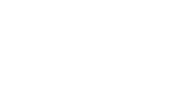 Mostly blank white image with a thin black horizontal line near the bottom and a blue vertical strip at the lower left