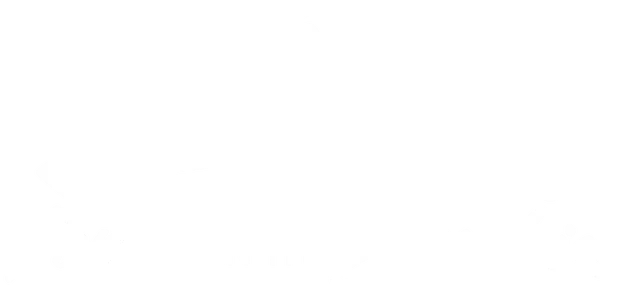 Blank white rectangular image with a thin black border at the bottom