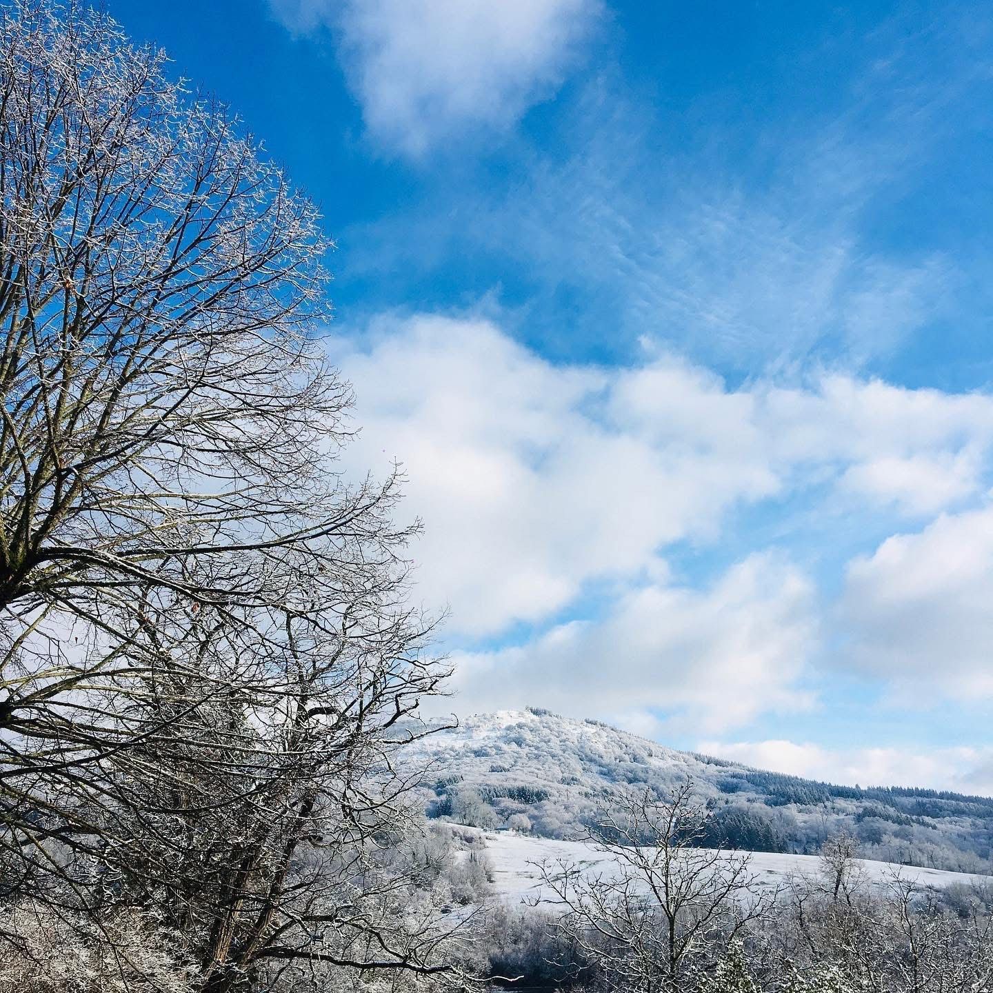 Photo d'un paysage de montagne.