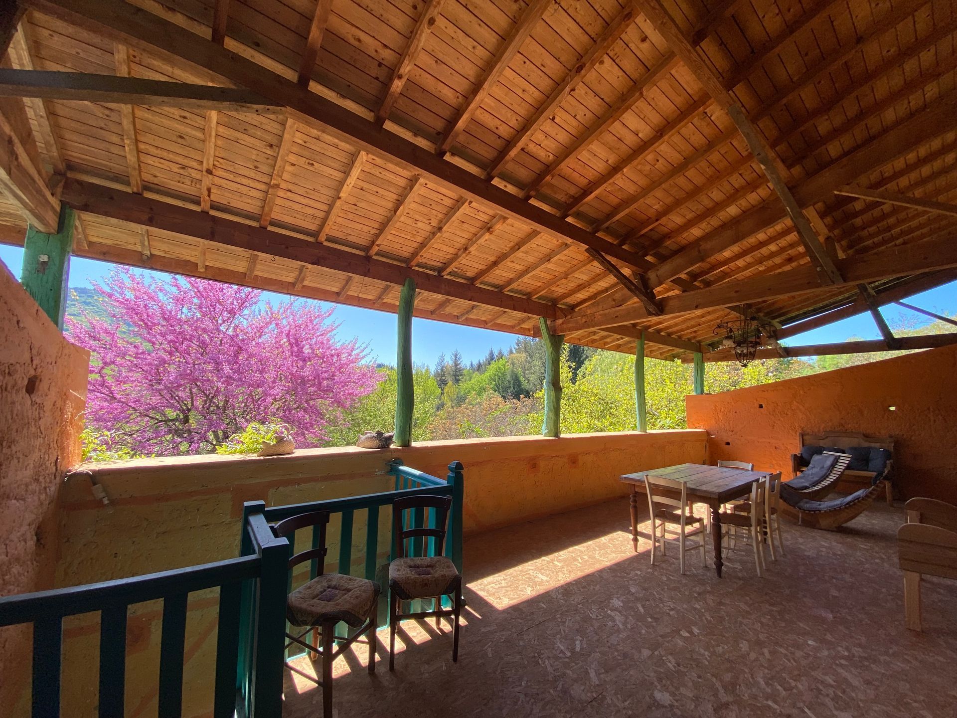 terrasse au printemps, couleurs et végétation, arbre du Judée
