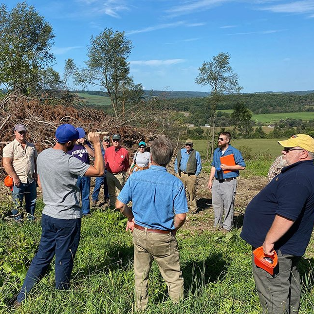 Tree Farm Program New York Tree Farm Windsor, NY