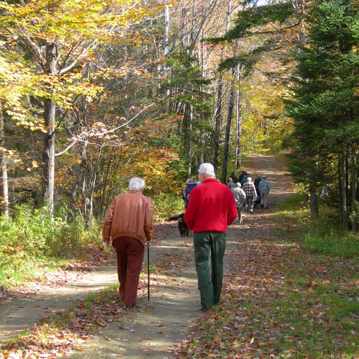 Tree Farm Program New York Tree Farm Windsor, NY