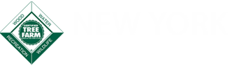 New York Tree Farm New York Tree Farm