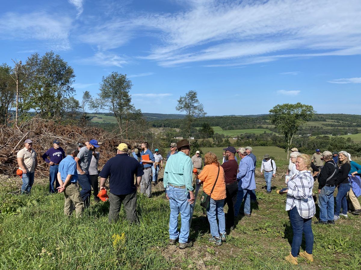Inspecting Forester and walk through your property