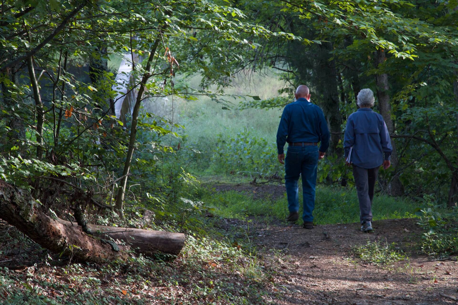 Two Couple Walking