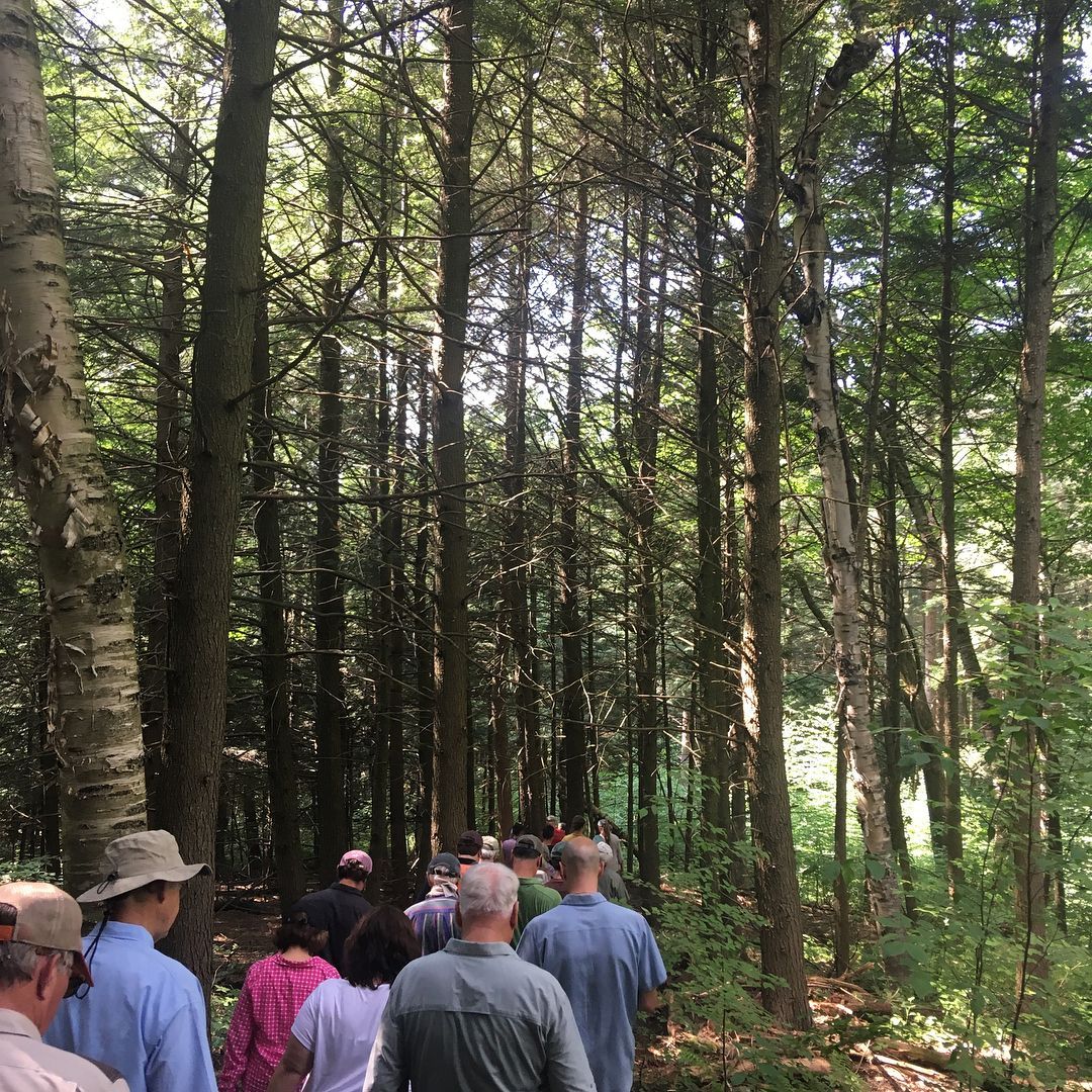 Tree Farm Committee