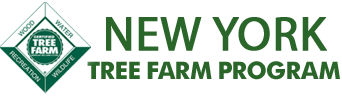 New York Tree Farm New York Tree Farm