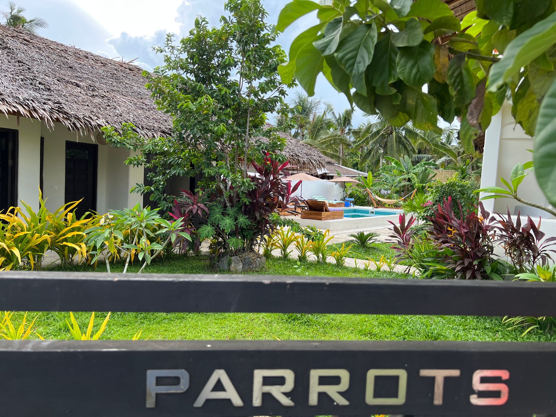 A sign that says parrots in front of a house
