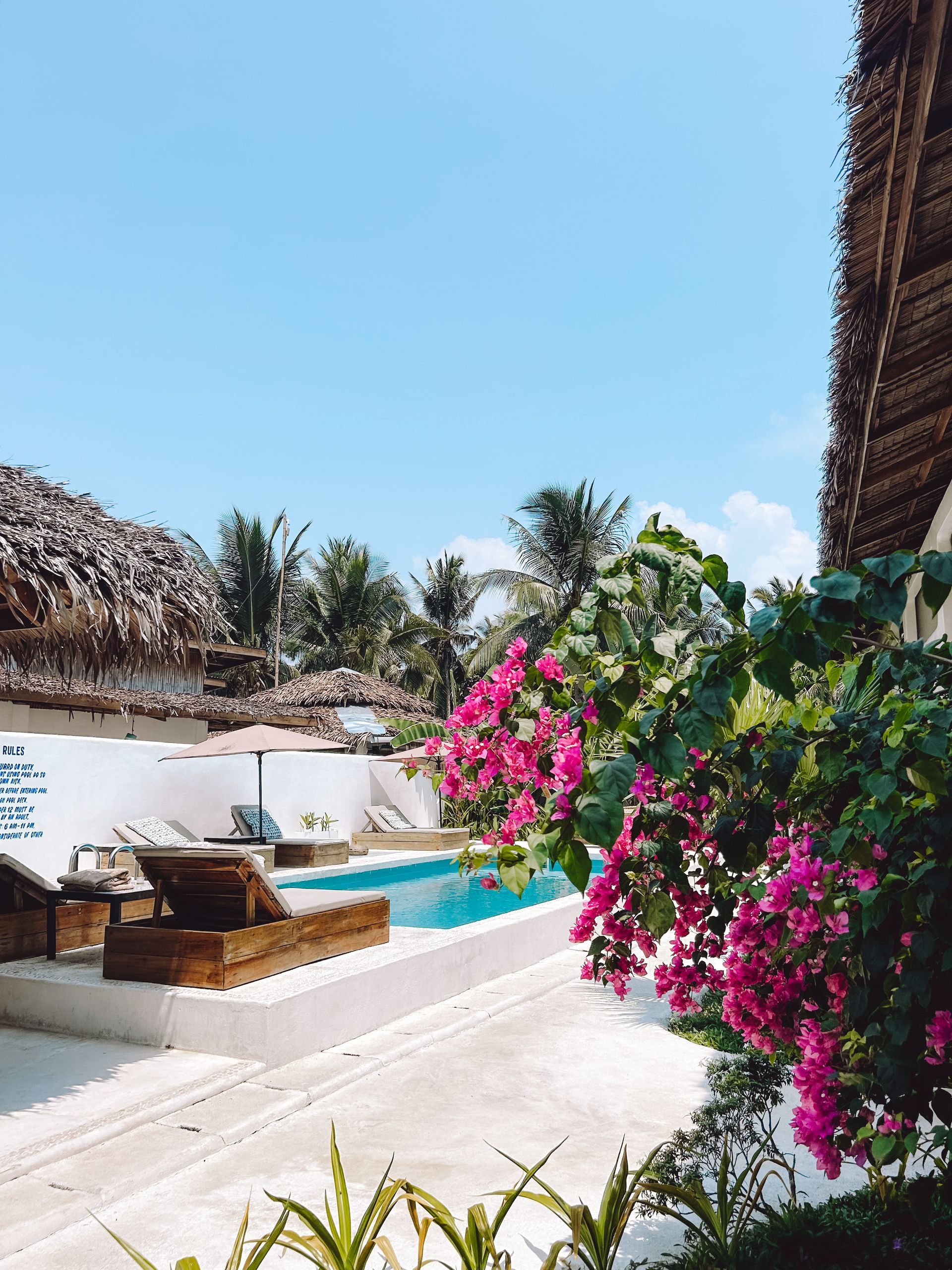 A swimming pool with a thatched roof and purple flowers