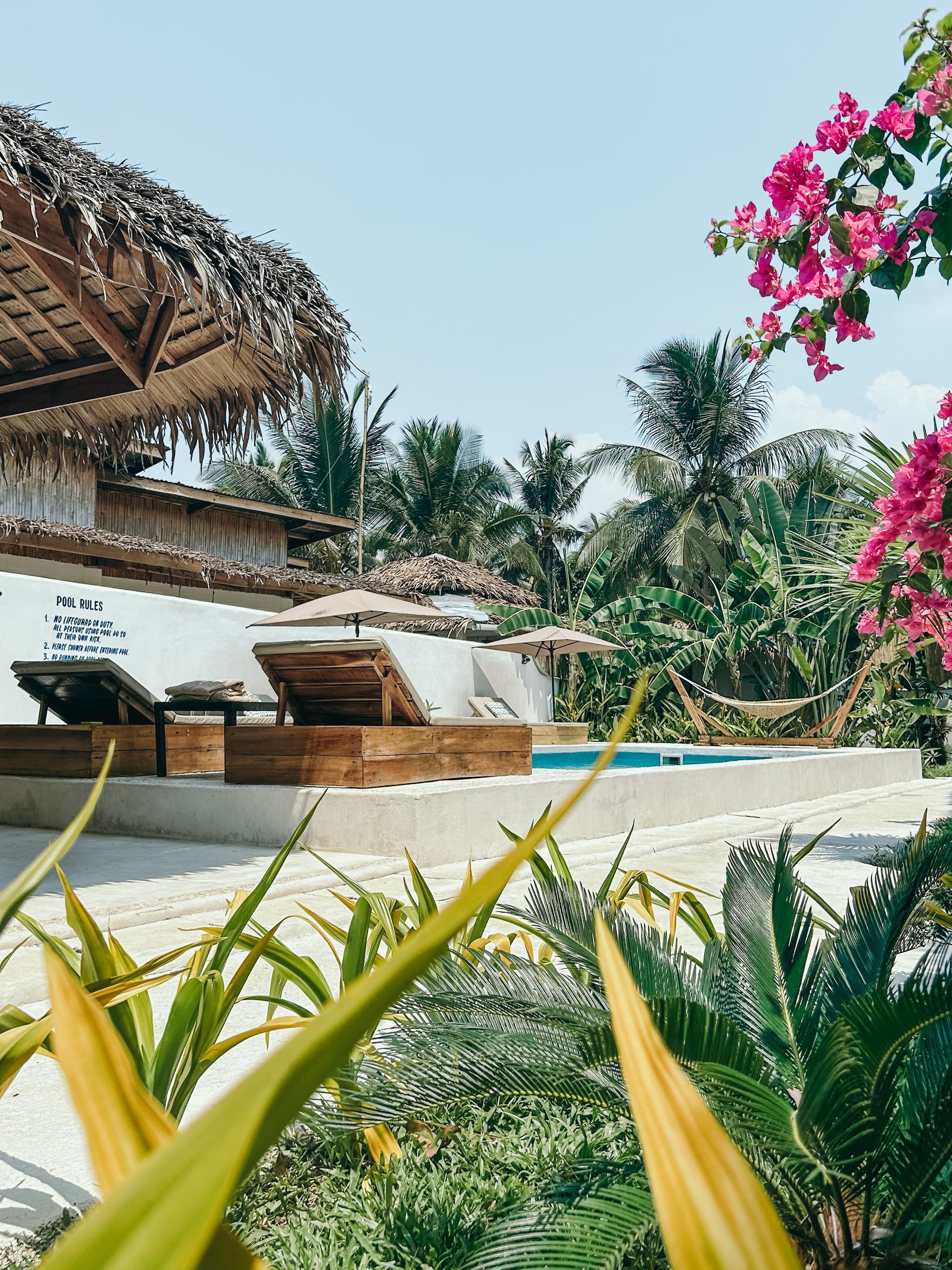 A swimming pool with a thatched roof and chairs in the background