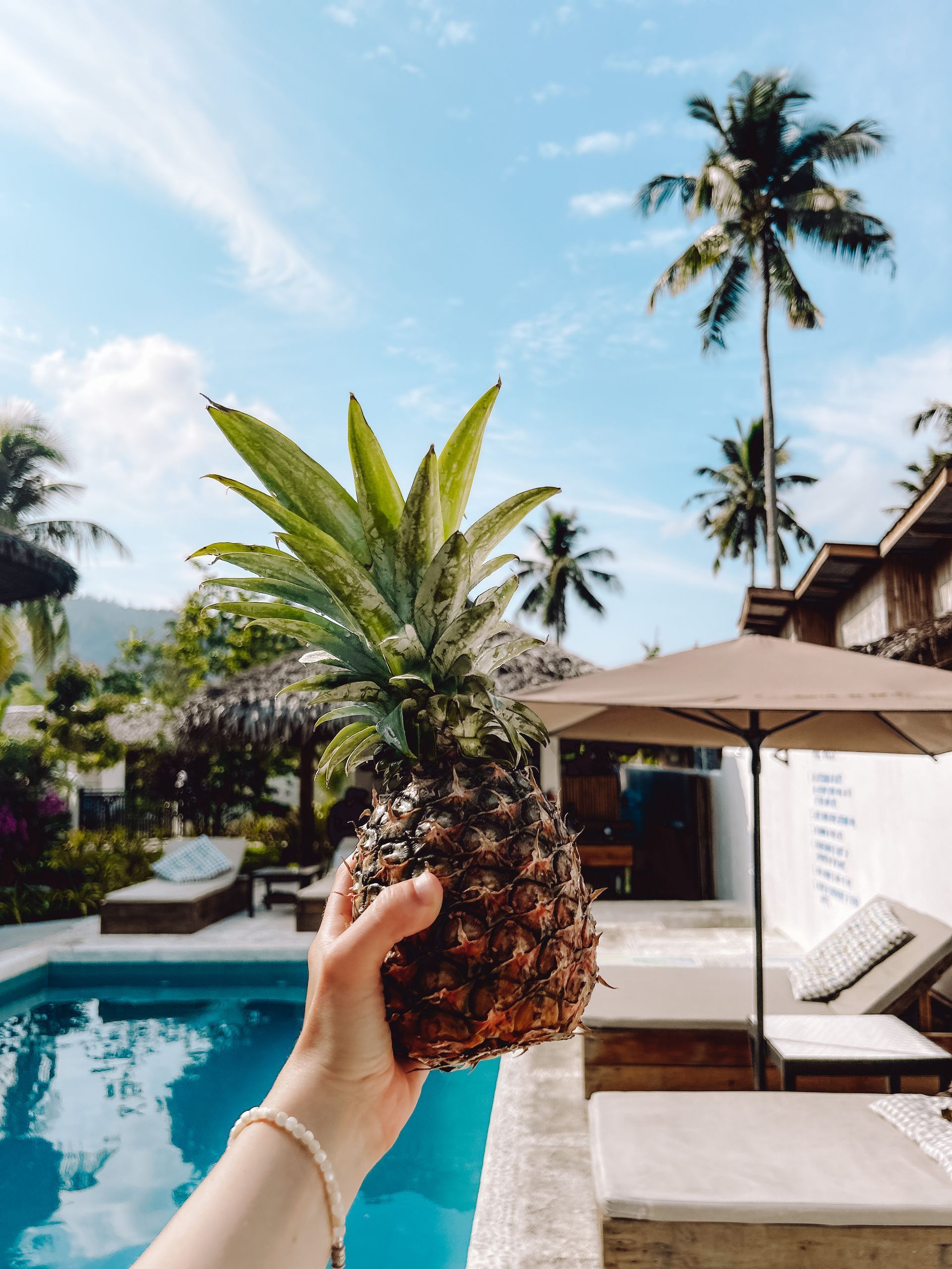 A person is holding a pineapple in front of a swimming pool