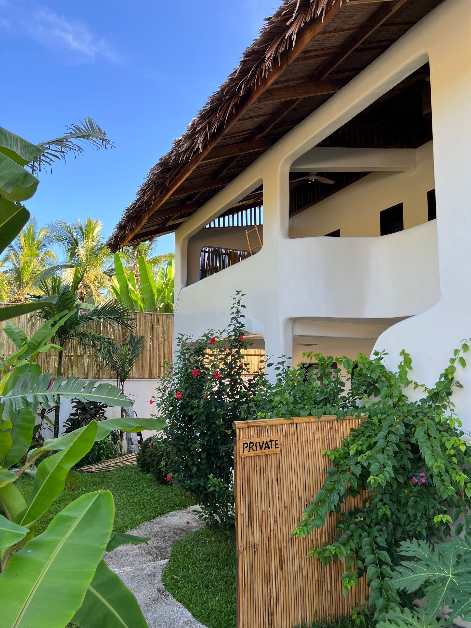 A white building with a thatched roof is surrounded by plants.