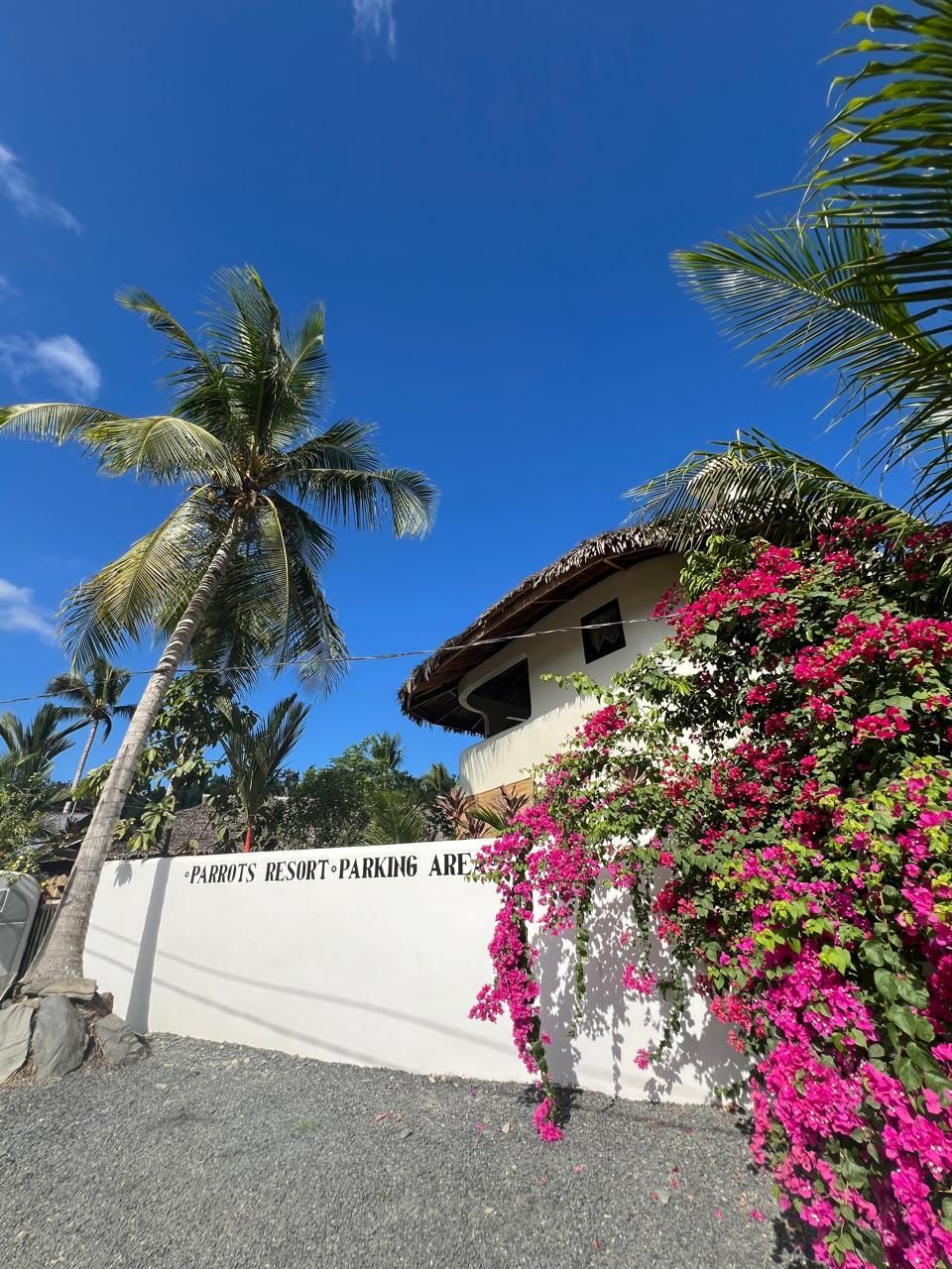 A white house with pink flowers and palm trees in front of it.