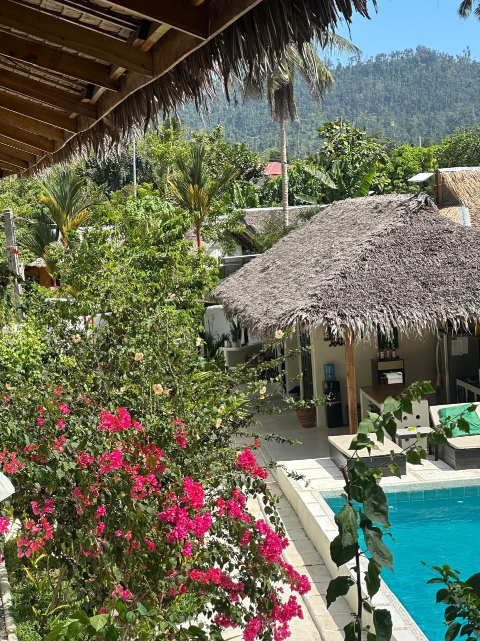 A swimming pool with a thatched roof and flowers in the foreground