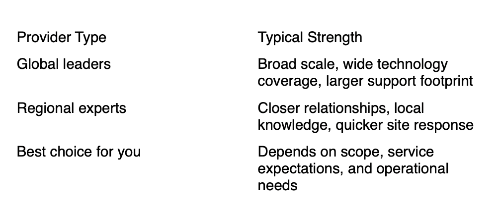 Table comparing provider types and strengths: global leaders, regional experts, best choice for you.