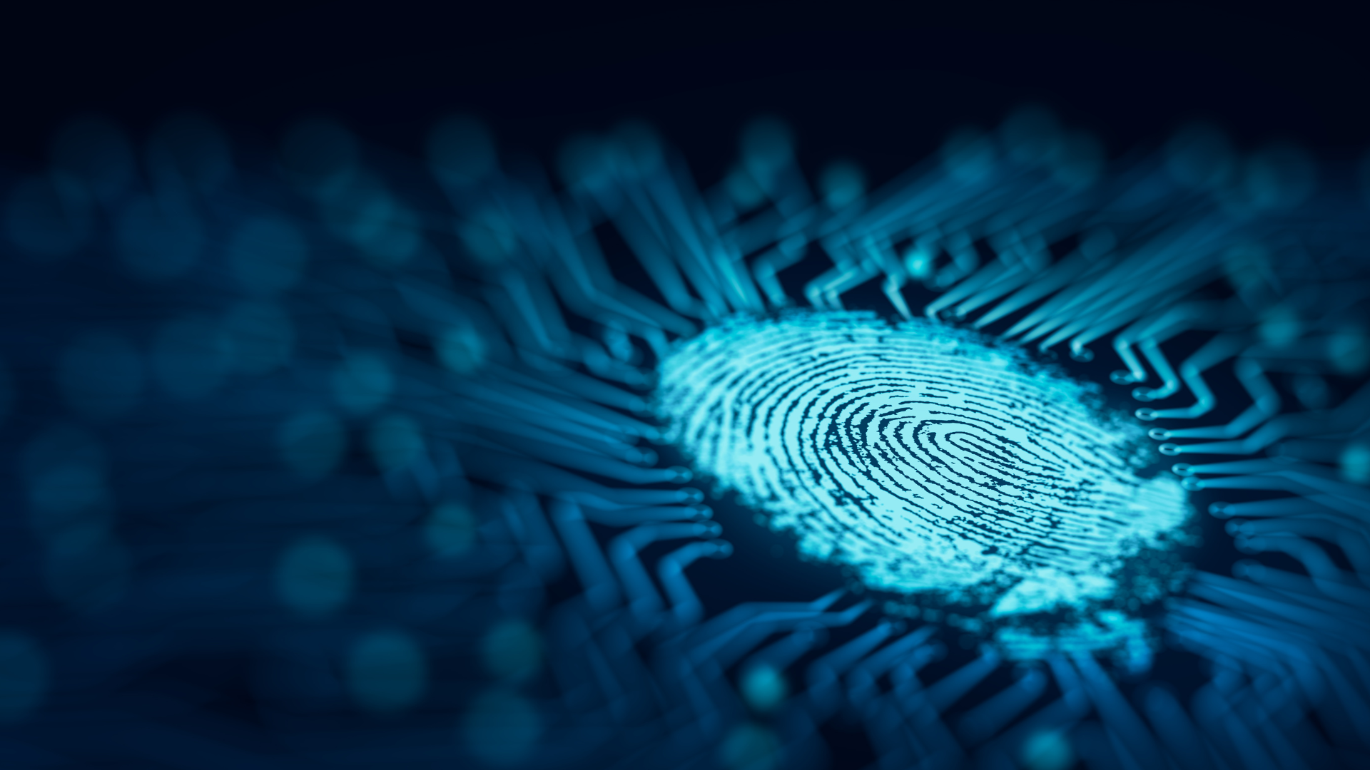 A fingerprint is glowing in the dark on a circuit board.