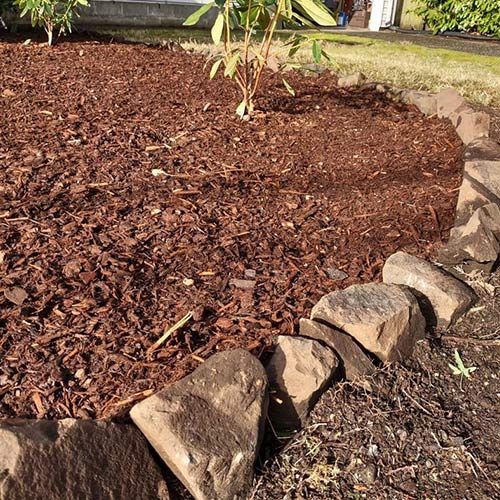 Before Landscaping — Lakewood, WA — DOVE LANDSCAPING Before Landscaping — Lakewood, WA — DOVE LANDSCAPING