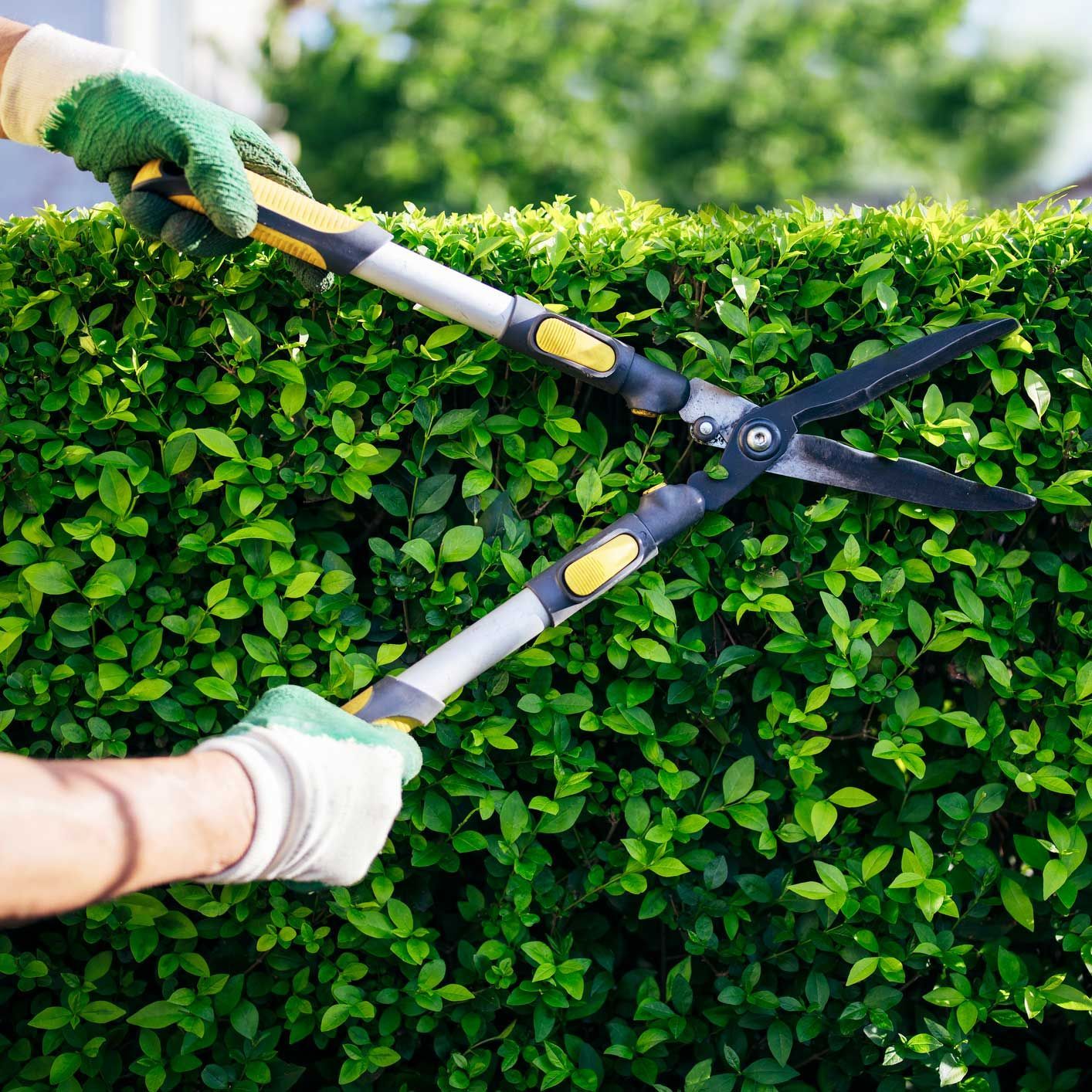 Residential Walkway — Lakewood, WA — DOVE LANDSCAPING