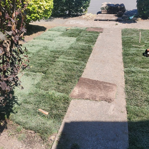 Residential Walkway — Lakewood, WA — DOVE LANDSCAPING
