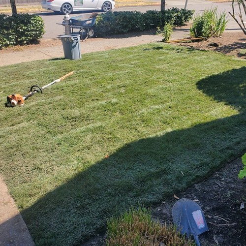 Green Field — Lakewood, WA — DOVE LANDSCAPING