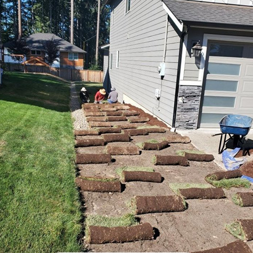 Green Field — Lakewood, WA — DOVE LANDSCAPING Green Field — Lakewood, WA — DOVE LANDSCAPING