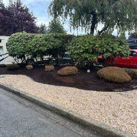Green Field — Lakewood, WA — DOVE LANDSCAPING Green Field — Lakewood, WA — DOVE LANDSCAPING