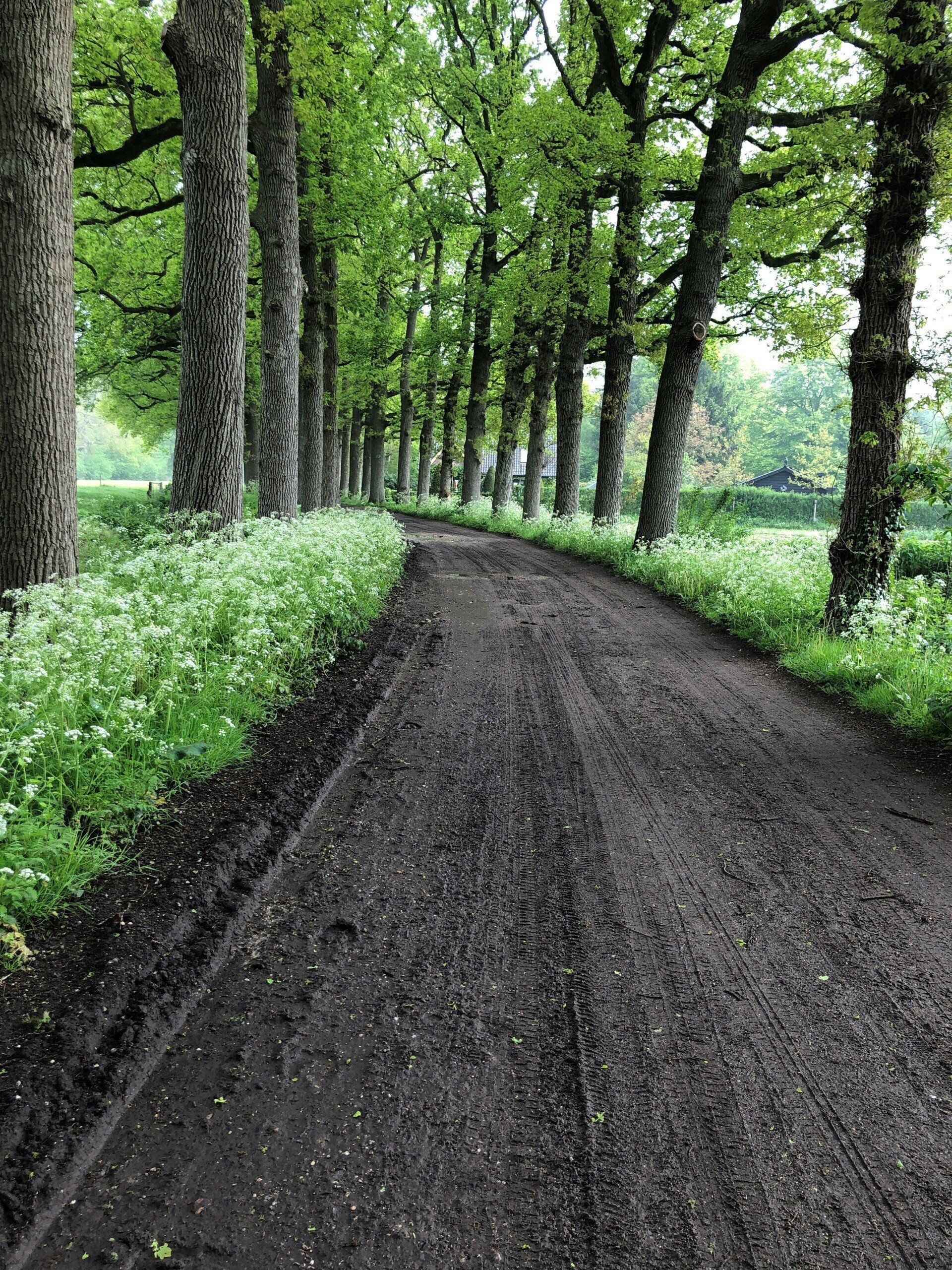 Wandelcoaching