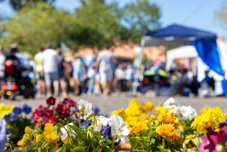 Flowers grow in festival