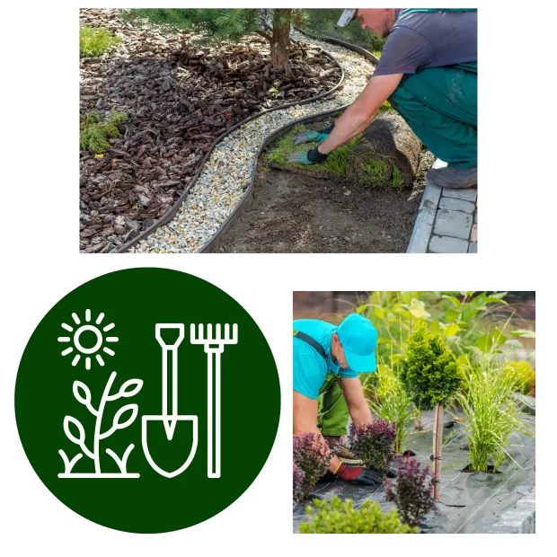 Green Wave Lawn Care - A man is planting a tree in a garden.