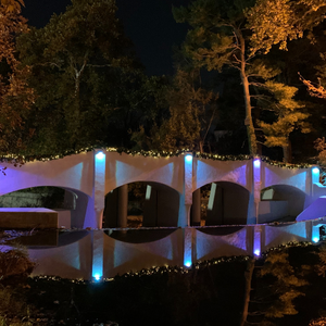 Night-lit white arched bridge reflected in still water, with blue accent lights and surrounding trees.