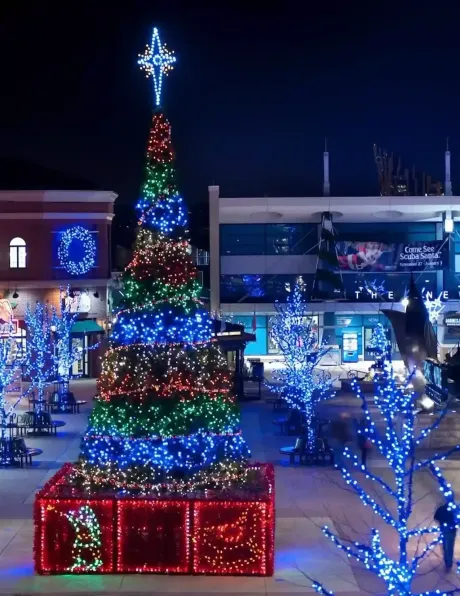 A lit Christmas tree with a glowing star in a snowy plaza at night, surrounded by blue holiday lights.