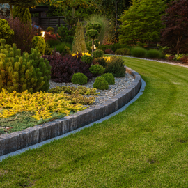 Curved landscaped garden bed with yellow flowers, shrubs, and a stone border beside a green lawn