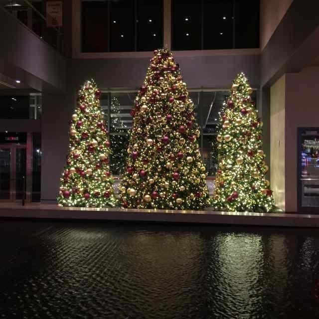 Three lit Christmas trees reflected in a dark indoor water feature at night