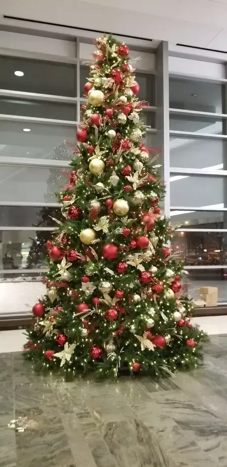 Tall decorated Christmas tree with red and gold ornaments in a lobby by windows