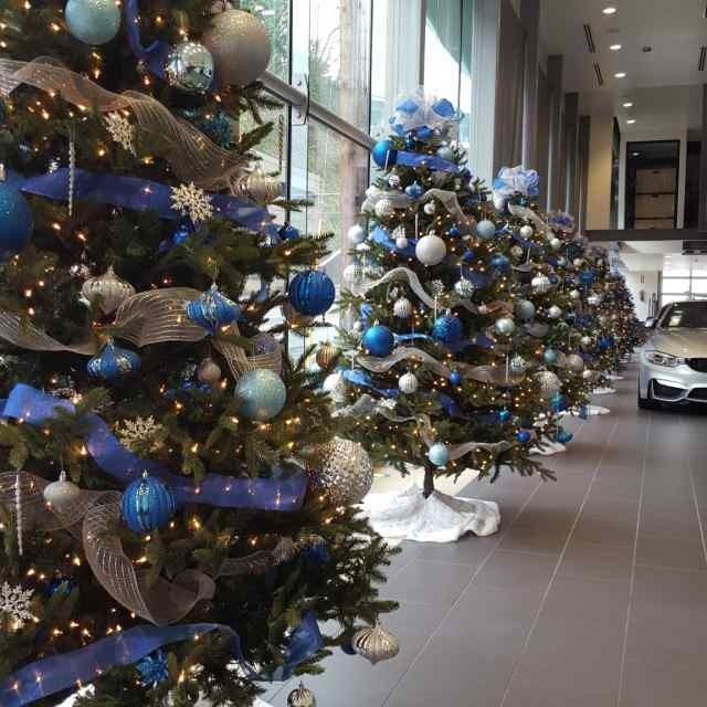 Decorated Christmas trees with blue and silver ornaments displayed in a showroom hallway