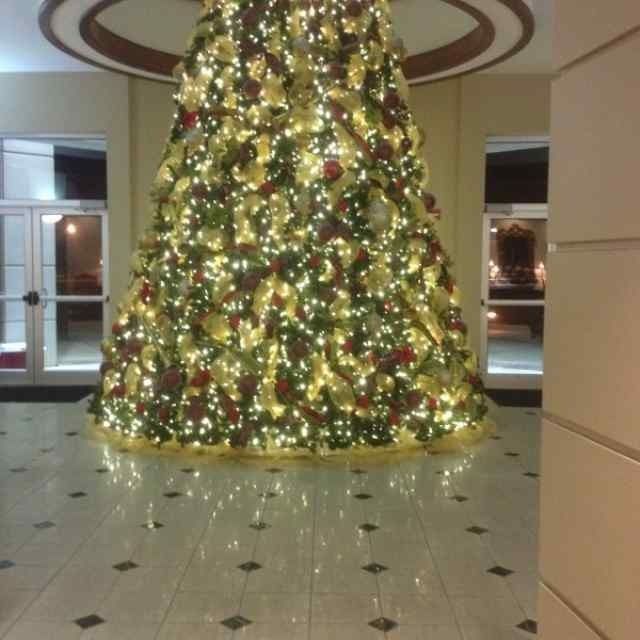 Large decorated Christmas tree with twinkling lights in a lobby lobby-like indoor space