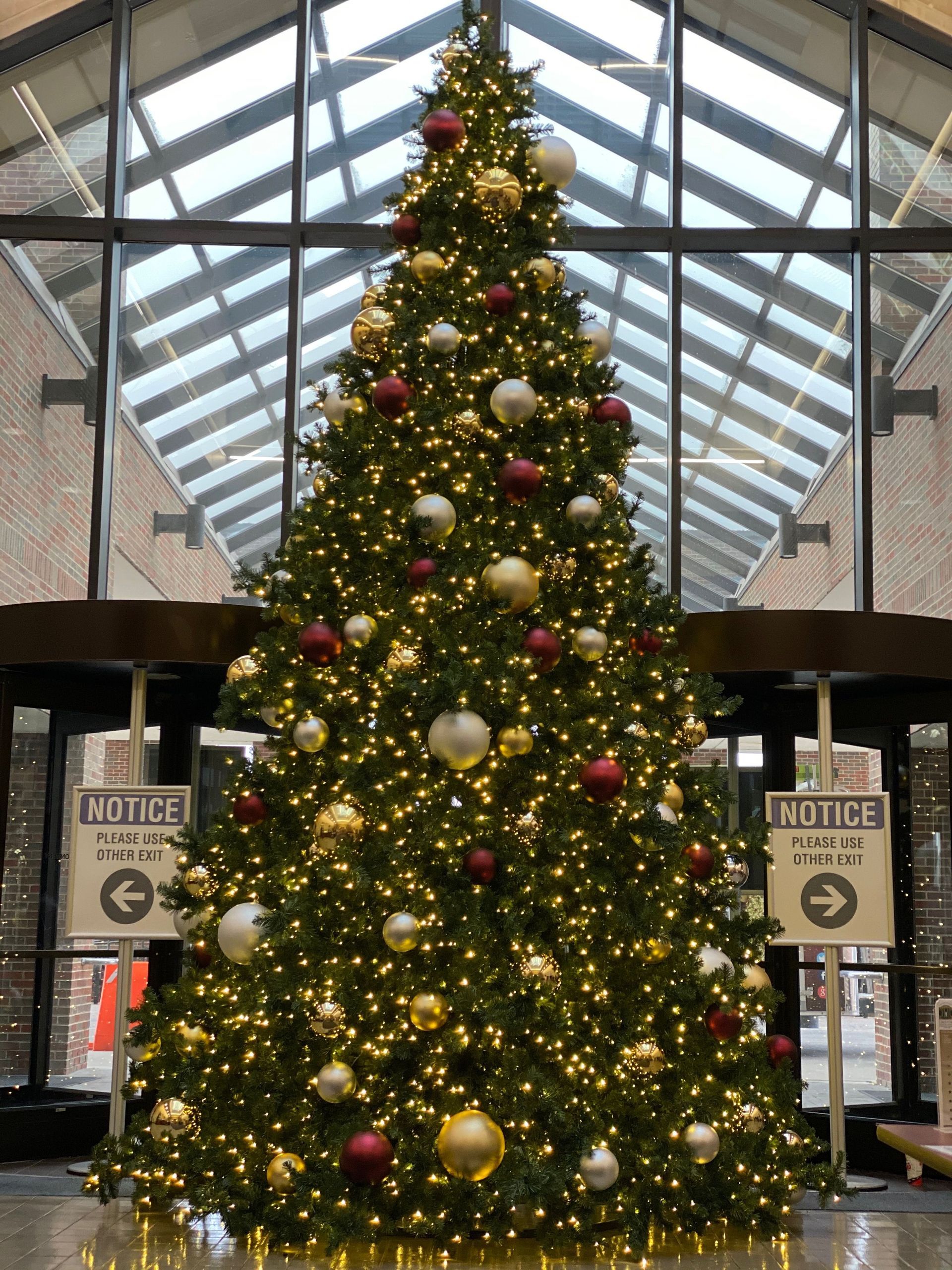 Large decorated Christmas tree with lights and gold-red ornaments in a bright indoor atrium