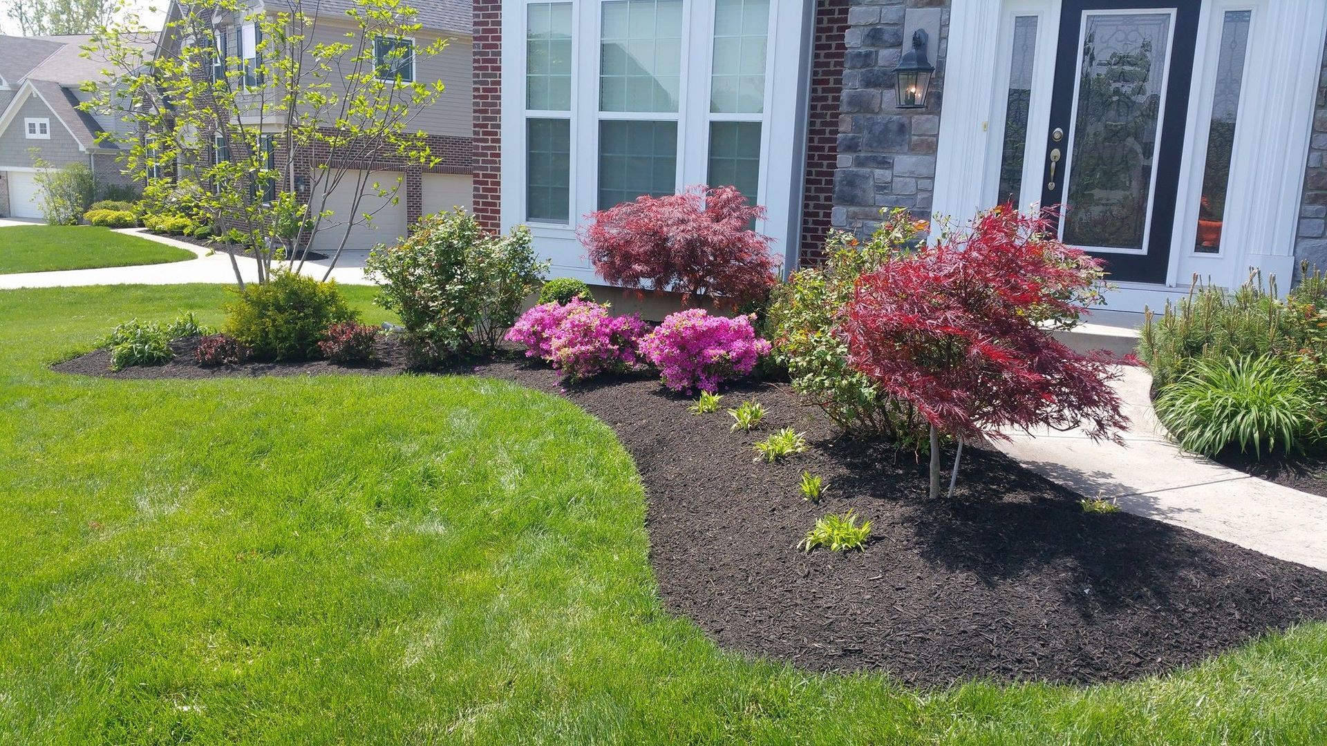 Front yard with green lawn, dark mulch beds, pink shrubs, and a white house entrance.