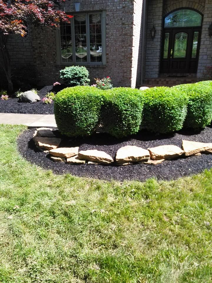 Front yard with neatly trimmed green shrubs, stone border, and a house entrance in the background