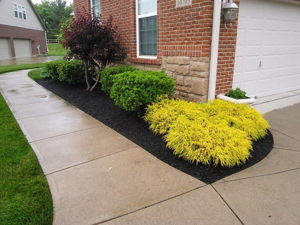 Landscaped front yard with a curved sidewalk, brick house, and yellow shrubs at the corner