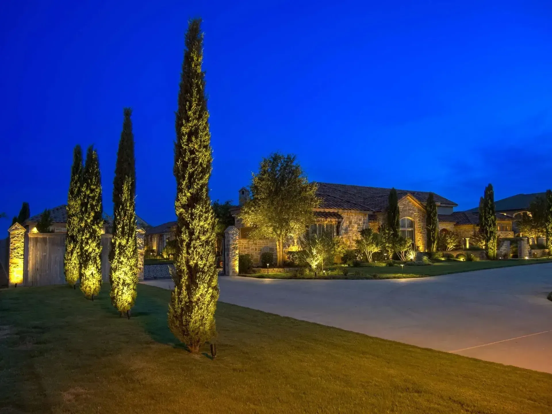Illuminated modern building and tall cypress trees at dusk under a deep blue sky