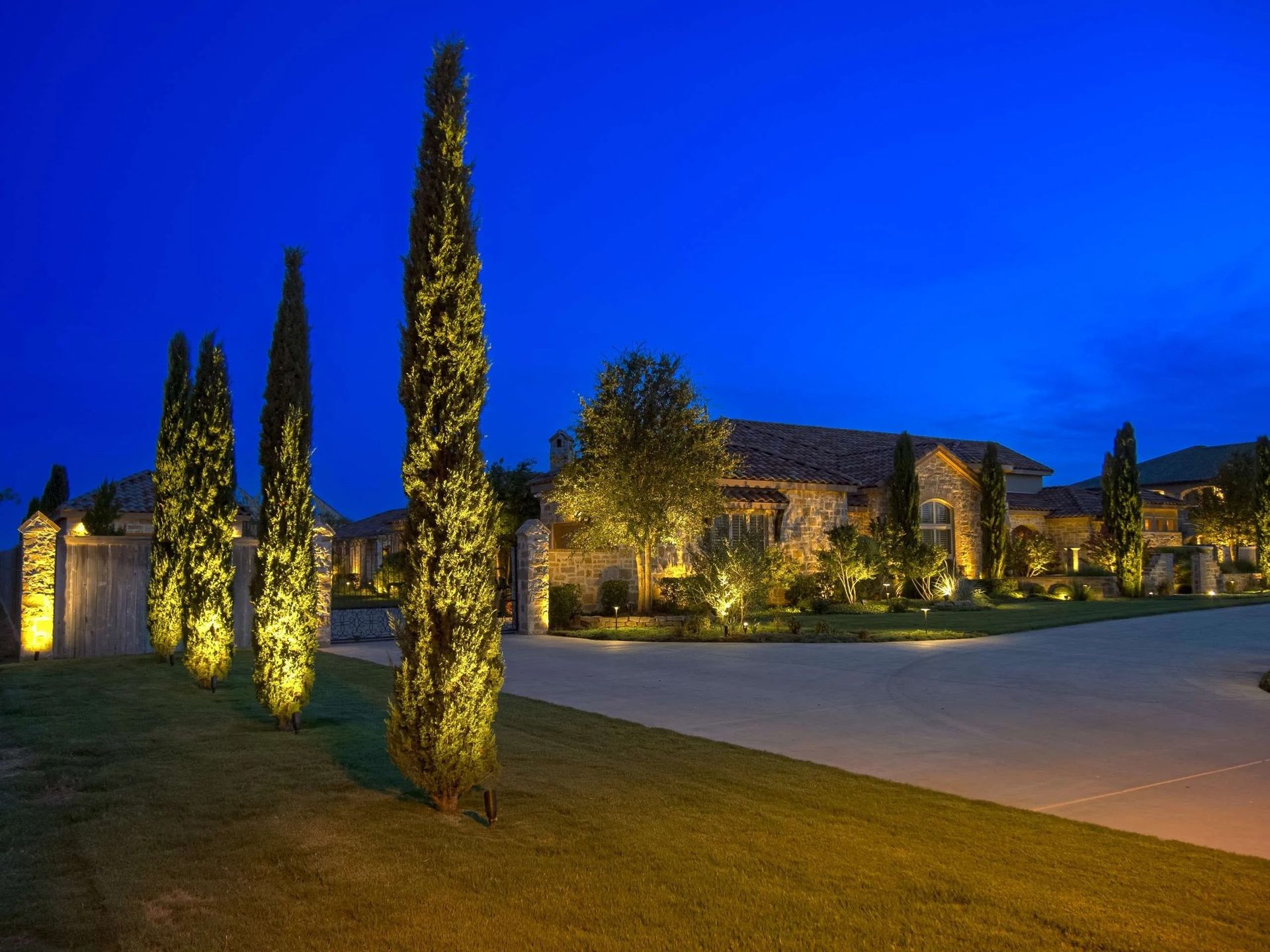 Illuminated modern building and tall cypress trees at dusk under a deep blue sky