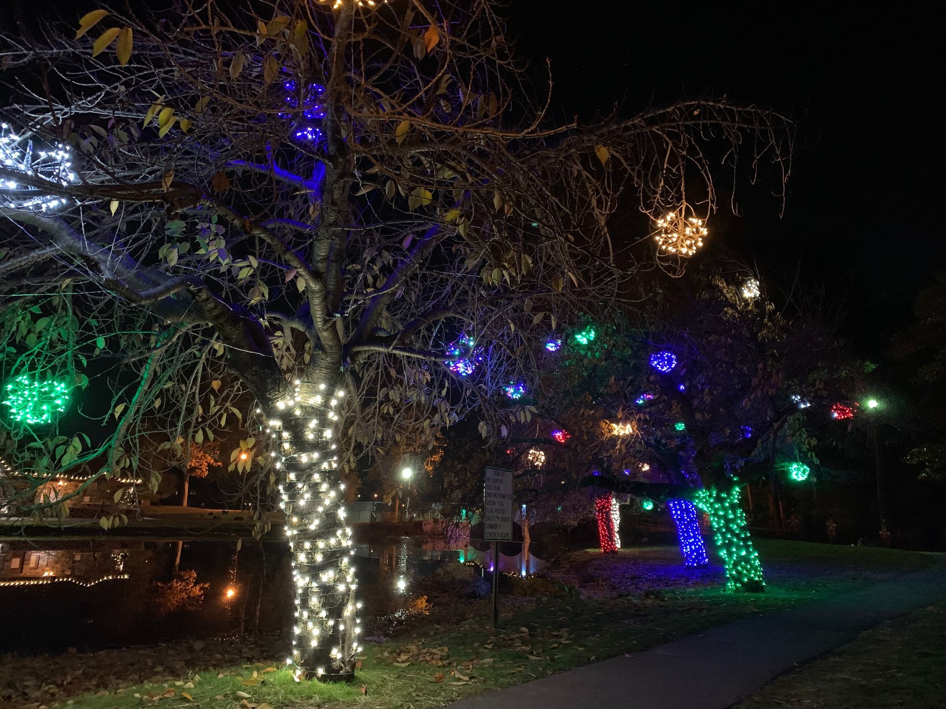 Tree-lined path at night with colorful holiday lights wrapped around trunks and branches