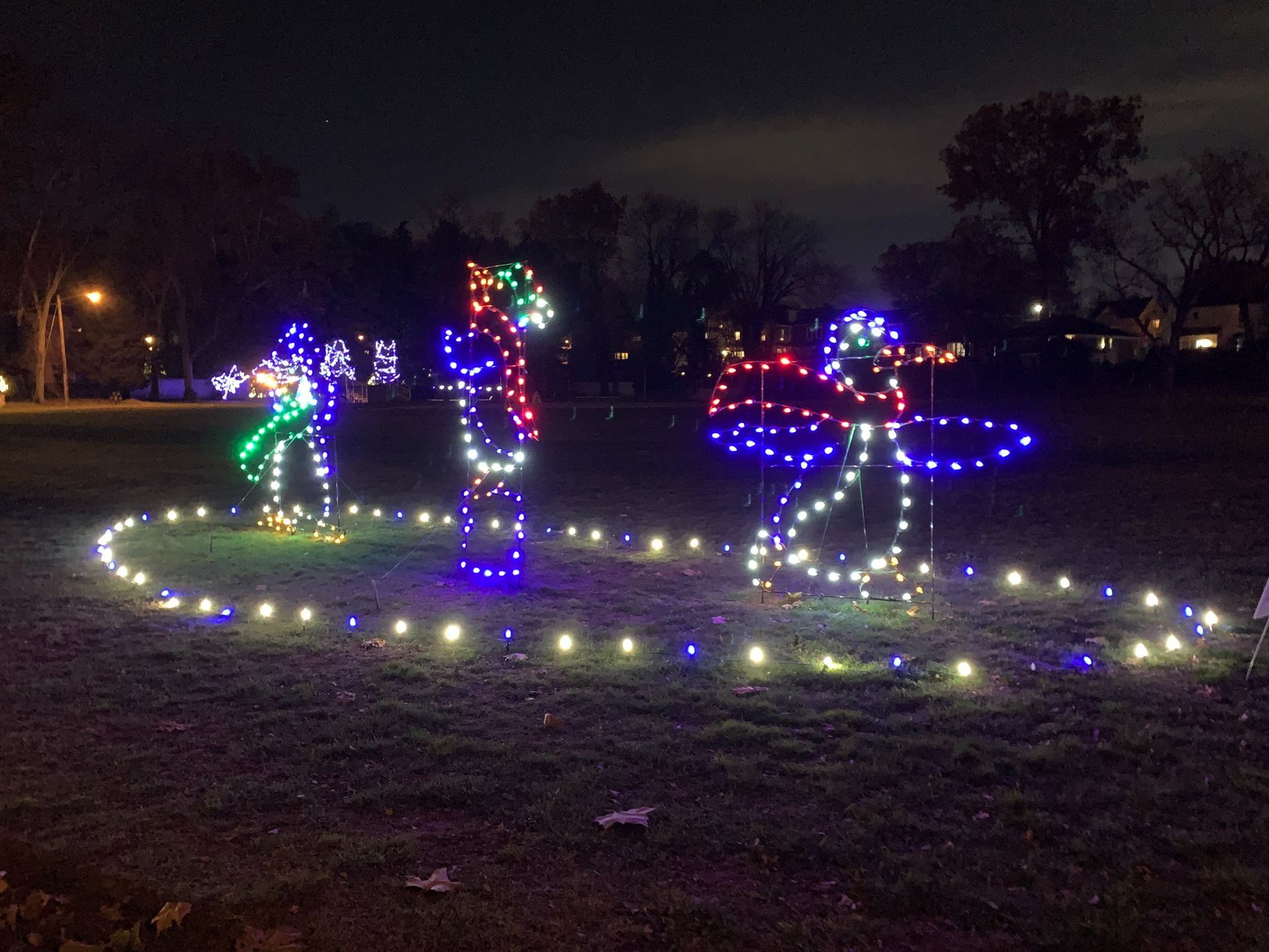 Colorful holiday light sculptures in a park at night, outlined by white ground lights.
